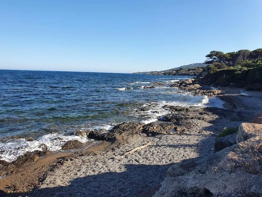 Joli Appart A 100M De La Mer, Jardin Et Piscine Frejus 0*,