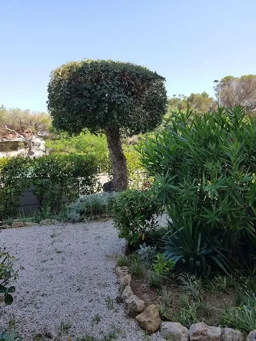 Apartment Joli Appart A 100M De La Mer, Jardin Et Piscine Frejus